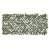 Nature Latwerk z ligusterem w Kalifornii zielony i żółte ostrze 90x180 cm
