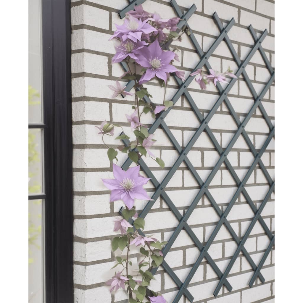 Naturgaart Schlaang funktionnéiert 50x150 cm pvc Anthracit -cored