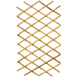 Natur Latwerk for Garden 100x200 cm bambus 6040722