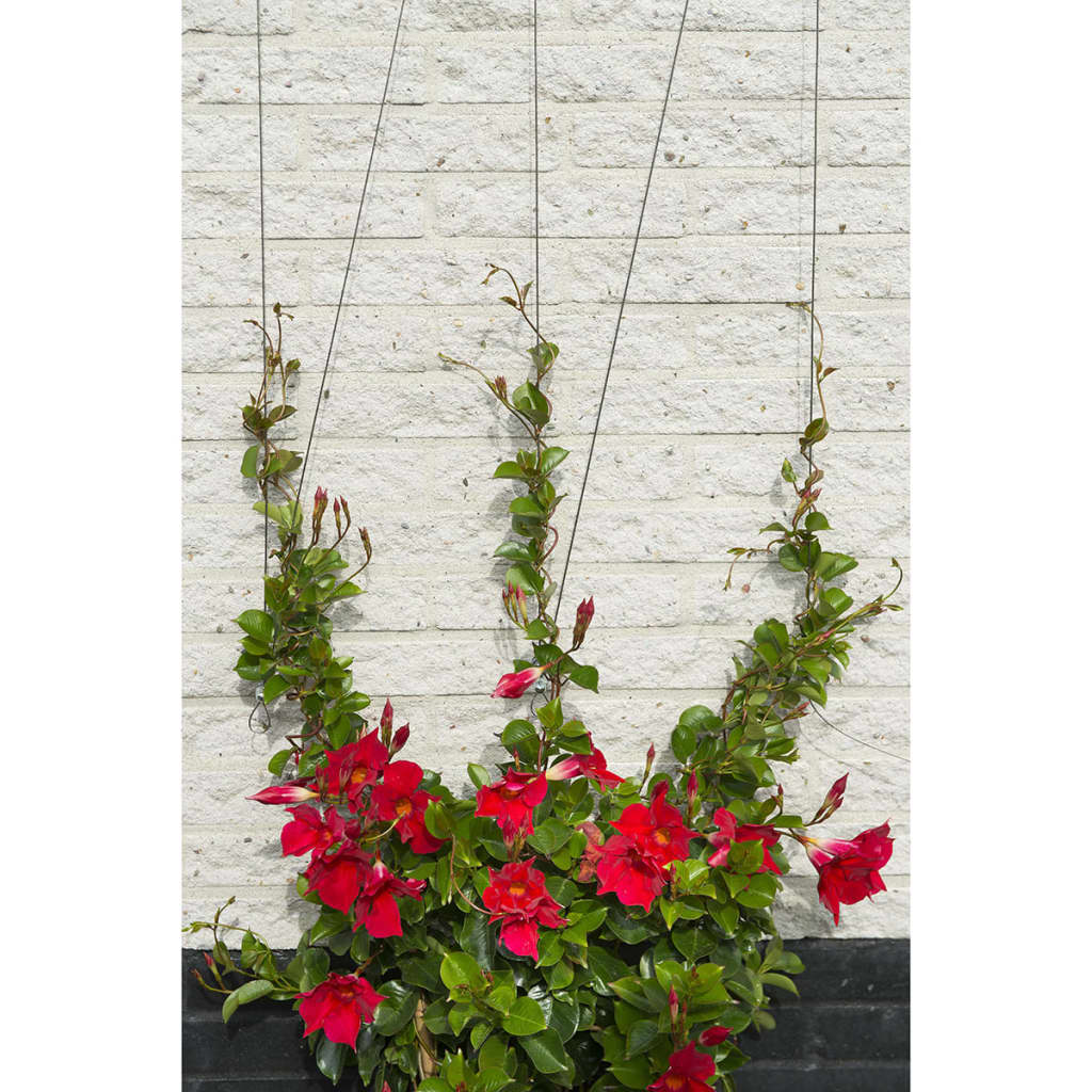 Nature Spandraad System til klatring af planter 6040760
