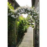Nature Garden Arch 229x38x113 cm metal sort
