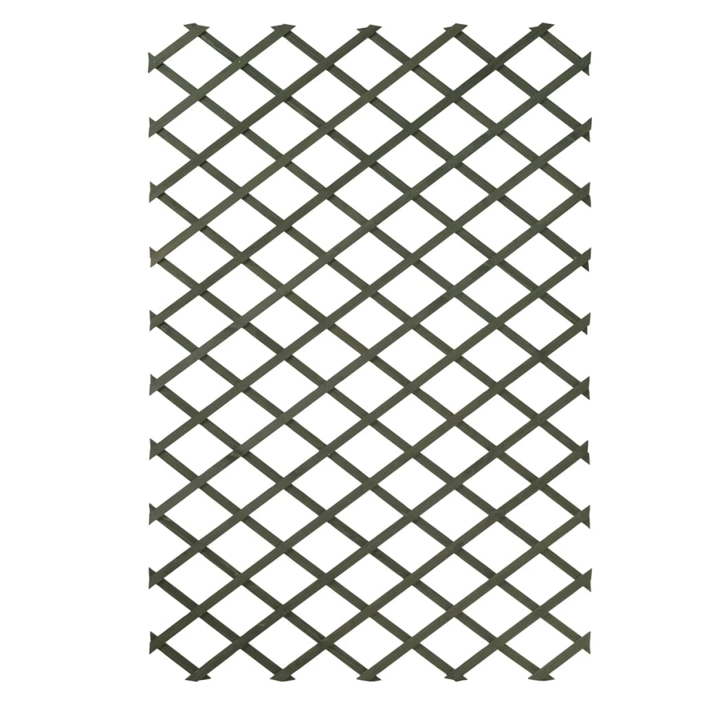 Pianta di arrampicata da pianta naturale 100x200 cm in legno verde 6041704