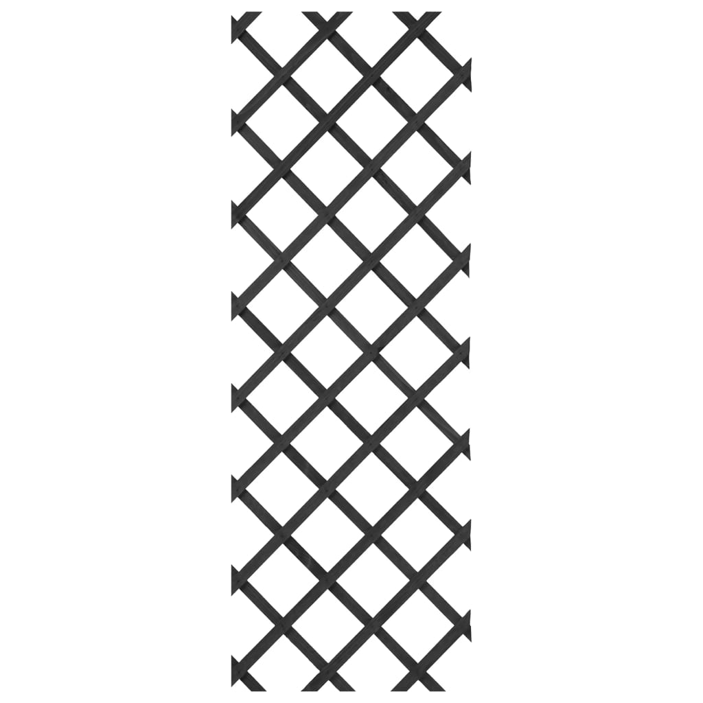 D'Natur Garden Slat funktionnéiert 50x150 cm Anthhracite -Colored