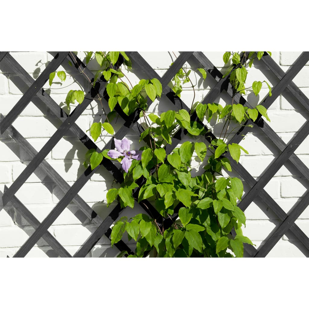 D'Natur Garden Slat funktionnéiert 50x150 cm Anthhracite -Colored