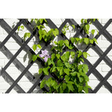 D'Natur Garden Slat funktionnéiert 50x150 cm Anthhracite -Colored