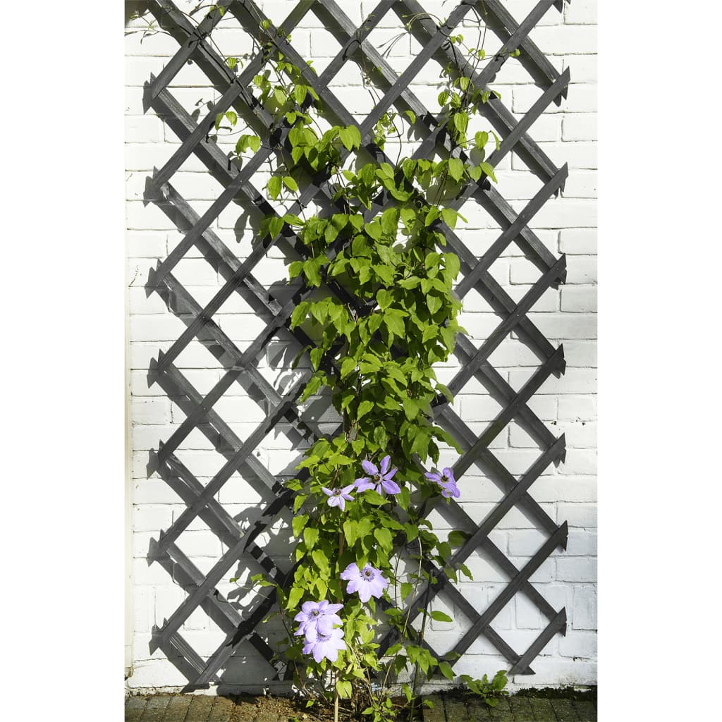 D'Natur Garden Slat funktionnéiert 50x150 cm Anthhracite -Colored