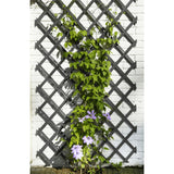 D'Natur Garden Slat funktionnéiert 50x150 cm Anthhracite -Colored