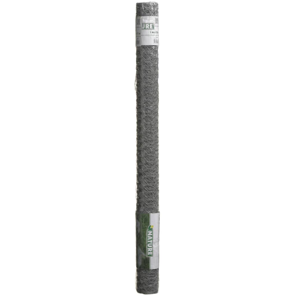 D'Natur Mesh Hexagonal 0,5x2.5 m 25 mm galvaniséiert Stol