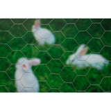 Nature mesh hexagonal 1x10 m 25 mm galvanized steel