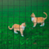 Nature mesh square 1x5 m 25 mm plastic coated steel green
