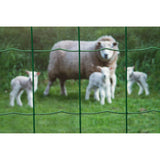 Nature mesh rectangular 0.6x10 m plastic coated steel green