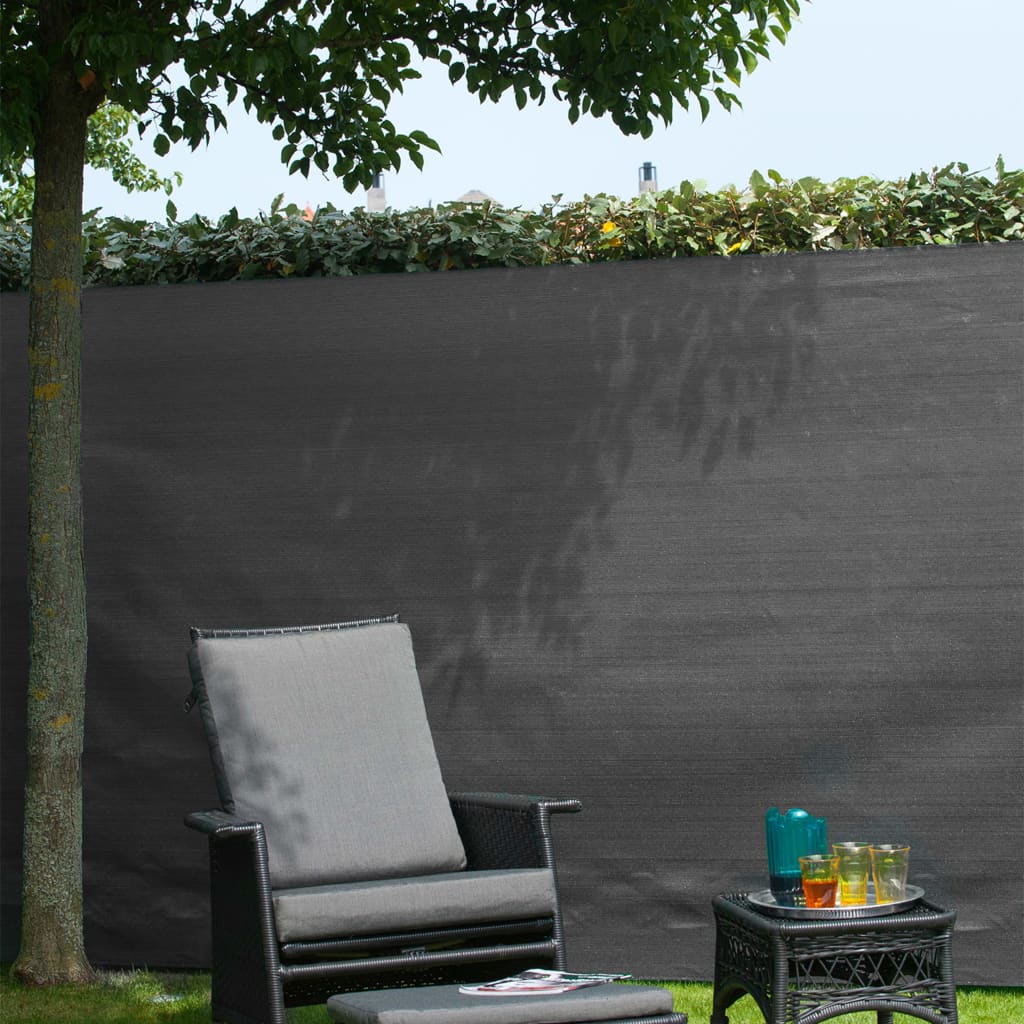 Écran de jardin de la nature 1x3 m anthracite