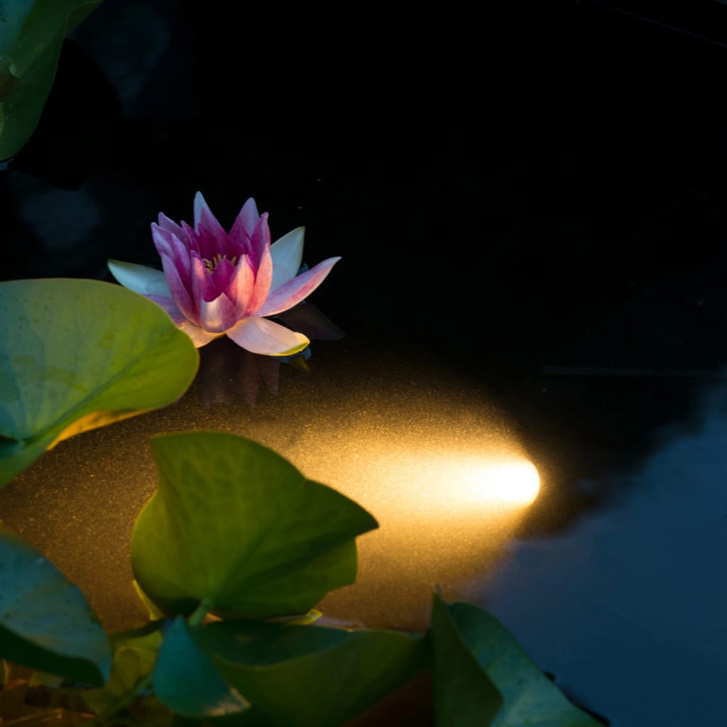 Ubbink AquaspetLight LED podvodna razsvetljava