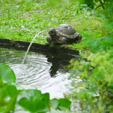Ubbink Spray Figure Turtle