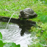 Ubbink Spray Figure Turtle