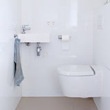 Hg eco toilet cleaner 500 ml