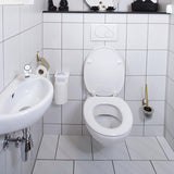 Hg eco toilet cleaner 500 ml