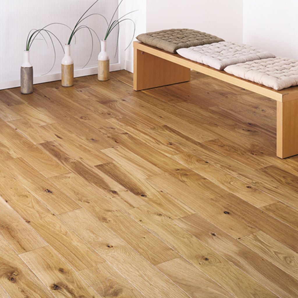 Hg limpiador suelos eco 1l