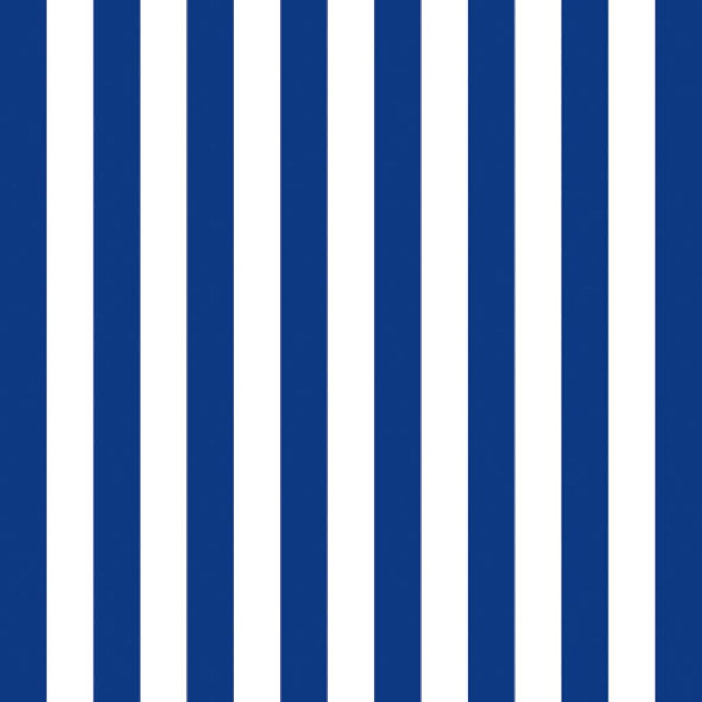 Various napkins 33 cm stripes navy blue fsc mix