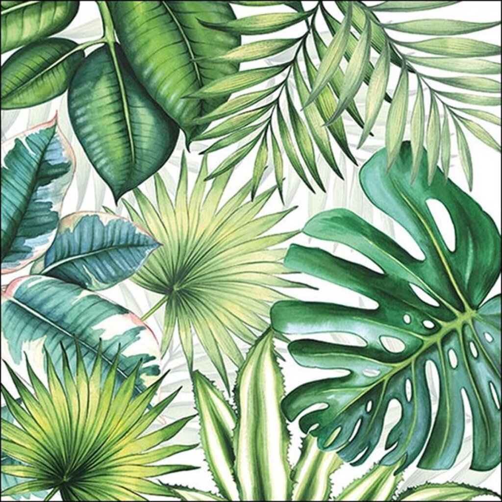 Ambiente ubrousky 33x33cm 20 kusů listů