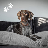 Madison Dog Cushion Velvet 120x90x15 cm Gray