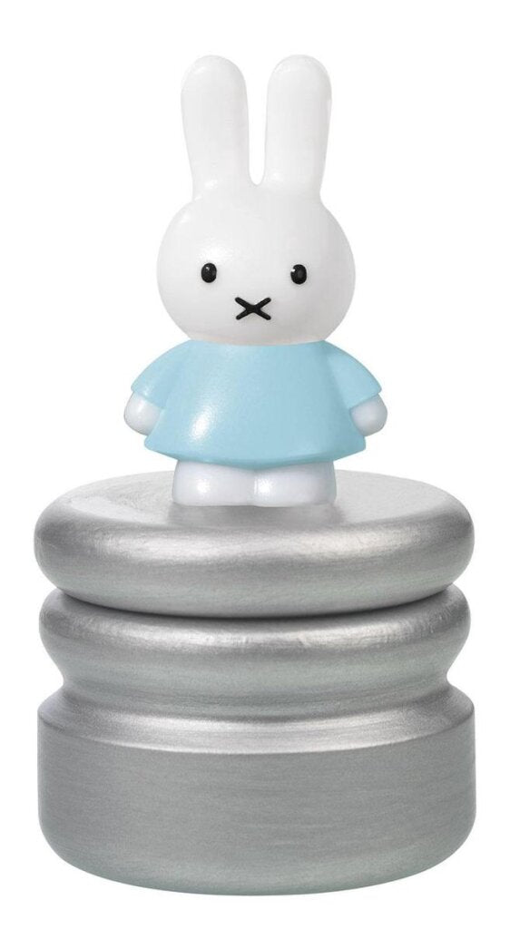 Bambolino Toys tooth box blue