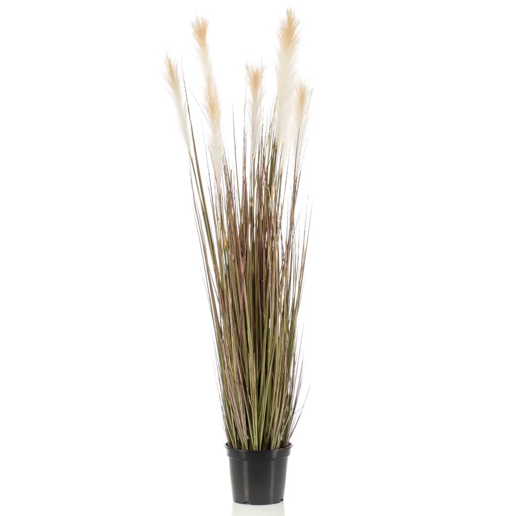 Emerald Emerald Art Plante dans Plastic Pot Pampas Grass 120 cm