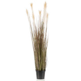 Emerald Emerald Art Plante dans Plastic Pot Pampas Grass 120 cm