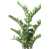 Emerald Emerald Art Plant Zamioculcas verde 110 cm 11.662c