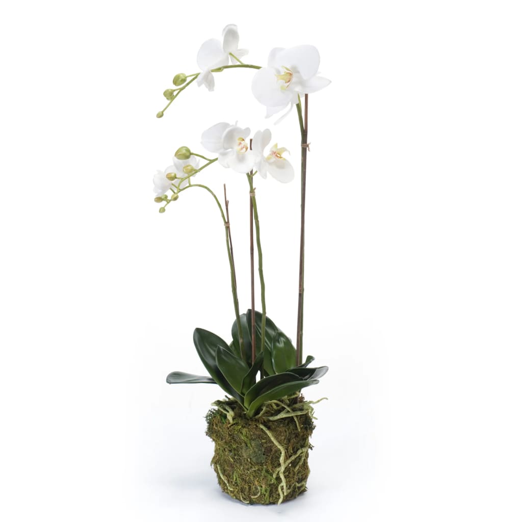 Smaragdkunstpflanze Schmetterlingsorchidee 70 cm weiß