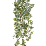 Emerald Art Plant ivy Hanging two -tone green 100 cm 11,960