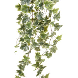 Emerald Art Plant ivy Hanging two -tone green 100 cm 11,960