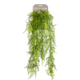 Emerald umělá rostlina Sierasperge 80 cm