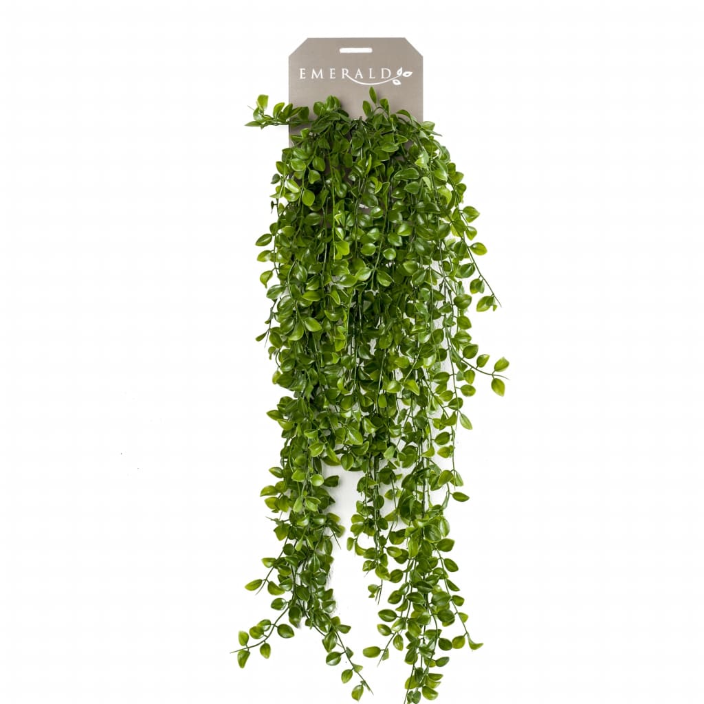 Smaragd Emerald Art Plant Plezanje vijg 80 cm