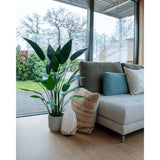 Emerald Art Plant Heliconia Plant Green 125 cm 419837
