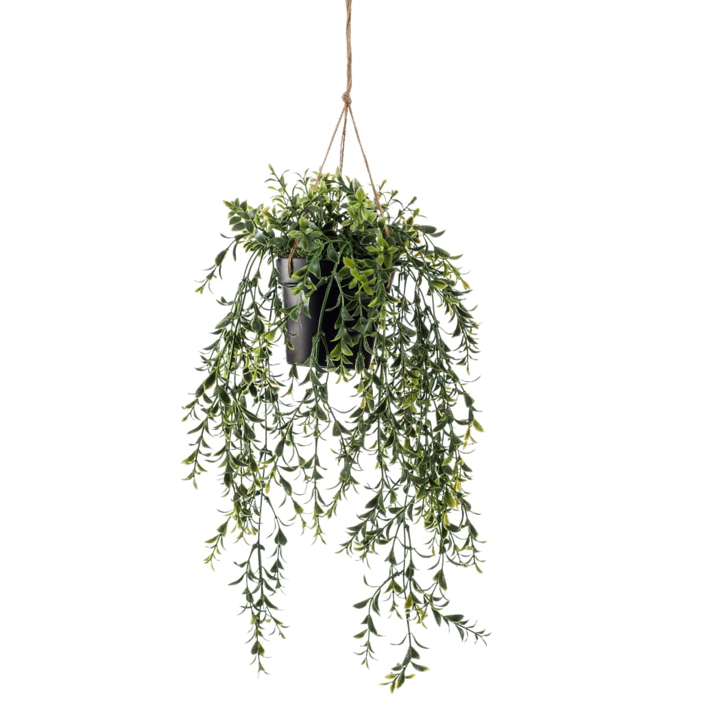 Emerald Emerald Art Plant suspendu dans Pot Buxus 50 cm