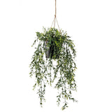 Emerald Emerald Art Plant suspendu dans Pot Buxus 50 cm