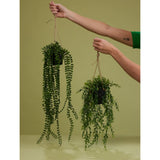 Emerald Emerald Art Plant suspendu dans Pot Buxus 50 cm