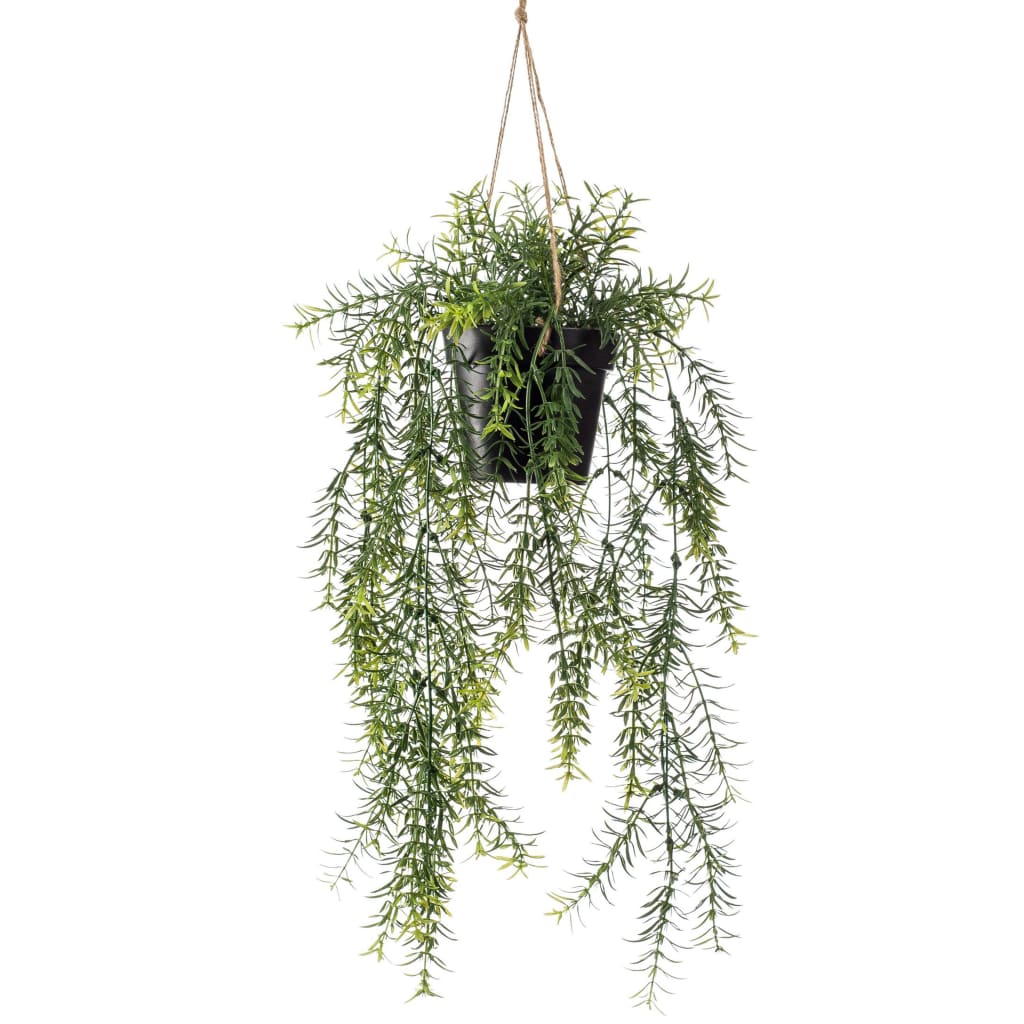 Emerald Emerald Art Plant suspendu dans l'asperge 50 cm Pot