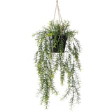 Emerald Emerald Art Plant suspendu dans l'asperge 50 cm Pot