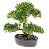 Smaragd Art Plant Mini Bonsai Ficus Green 32 cm 420002