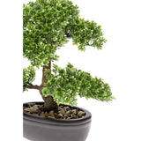 Smaragd Art Plant Mini Bonsai Ficus Green 32 cm 420002