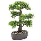 Pianta d'arte di smeraldo in pentola marrone ficus minibonsai 43 cm