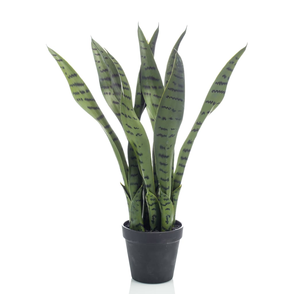 Smaragd Emerald Art Plant Sansevieria in Topf 55 cm