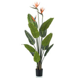 Emerald Emerald Art rostlina s hrncem a květinami Strelitzia 120 cm