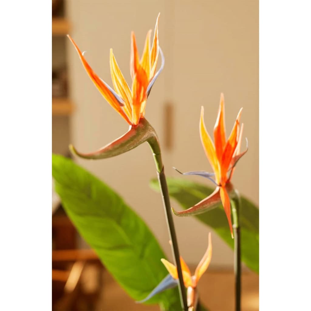 Emerald Emerald Art rostlina s hrncem a květinami Strelitzia 120 cm