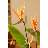 Emerald Emerald Art rostlina s hrncem a květinami Strelitzia 120 cm