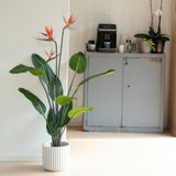 Emerald Emerald Art rostlina s hrncem a květinami Strelitzia 120 cm