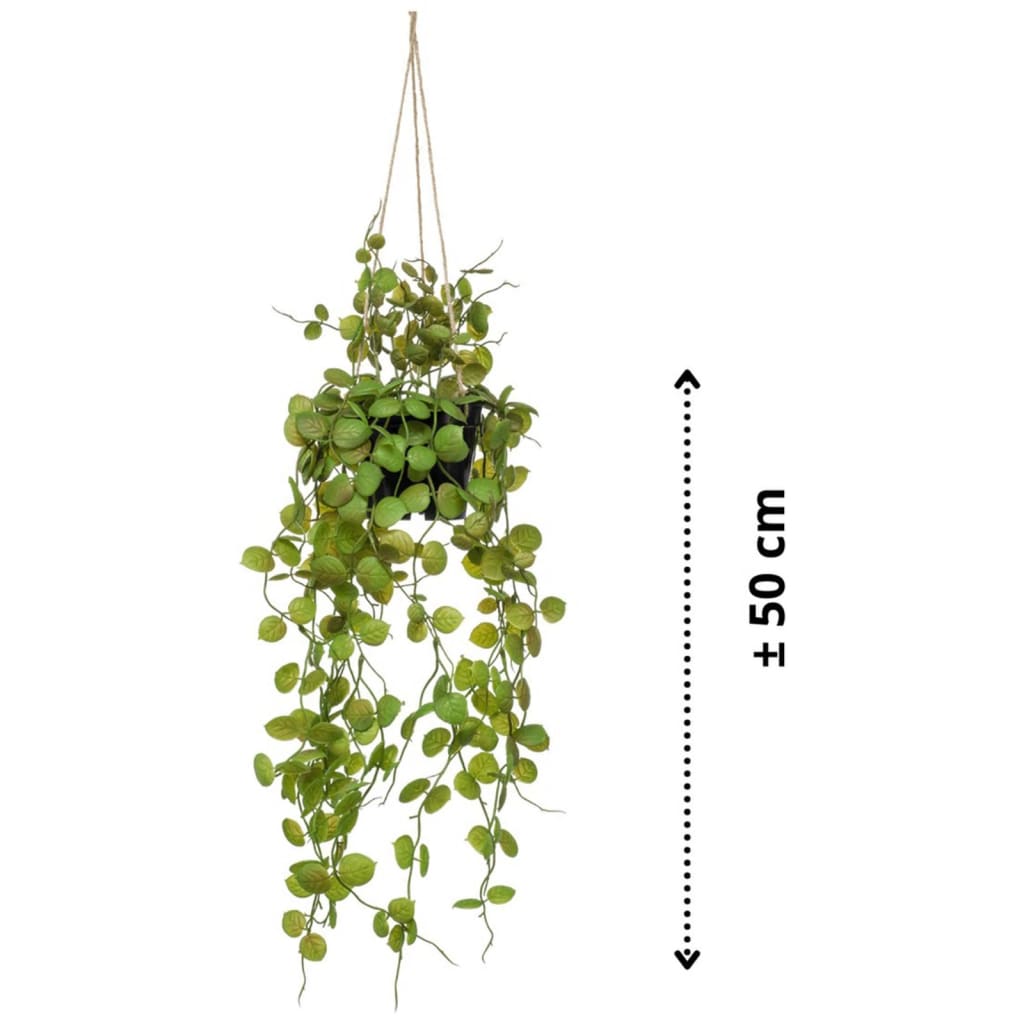 Smaragd Smaragdkunstpflanze in Topflaterne 50 cm hängen