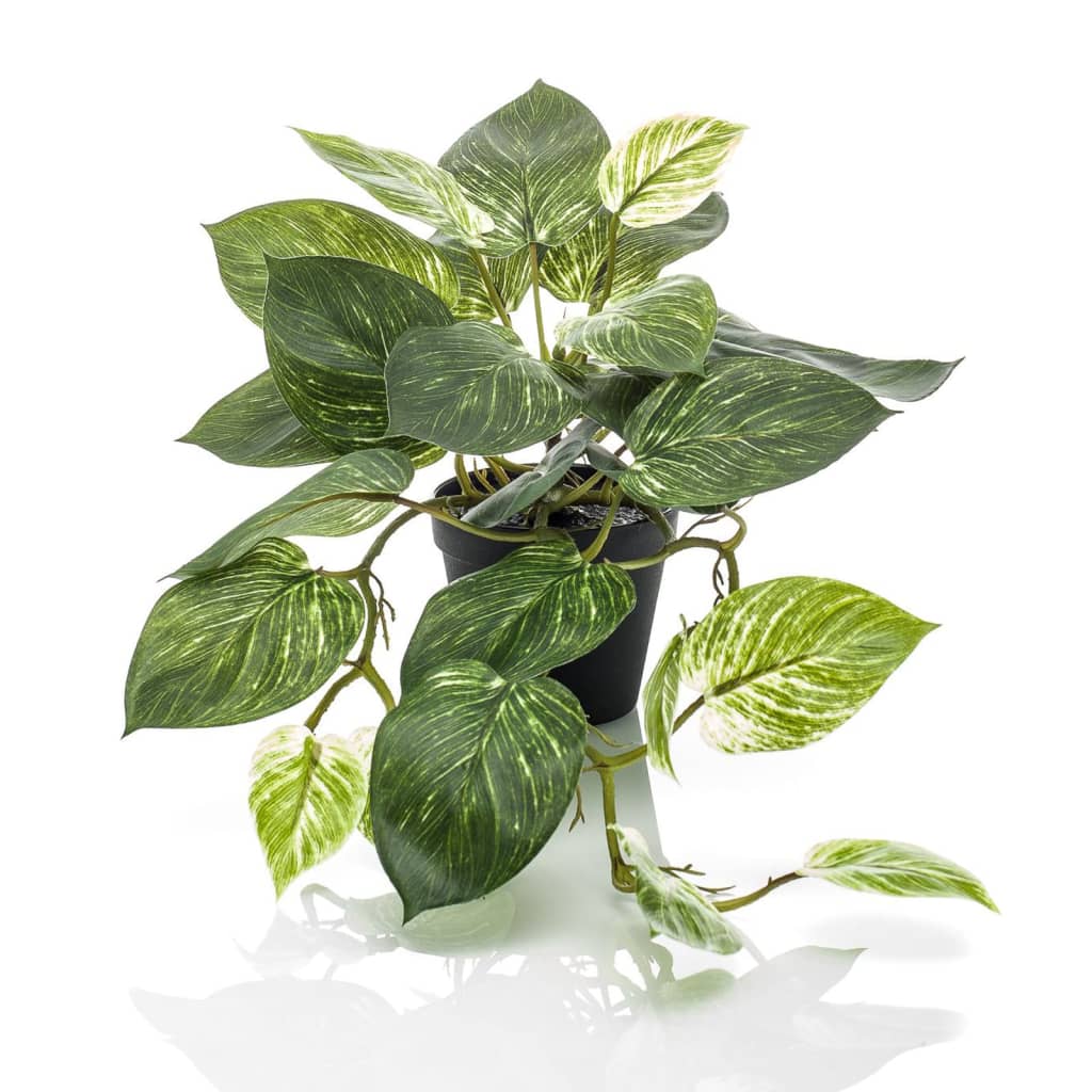 EMAAARD Smaragd Art Planz an Dëppe scindapsus Vito 55 cm